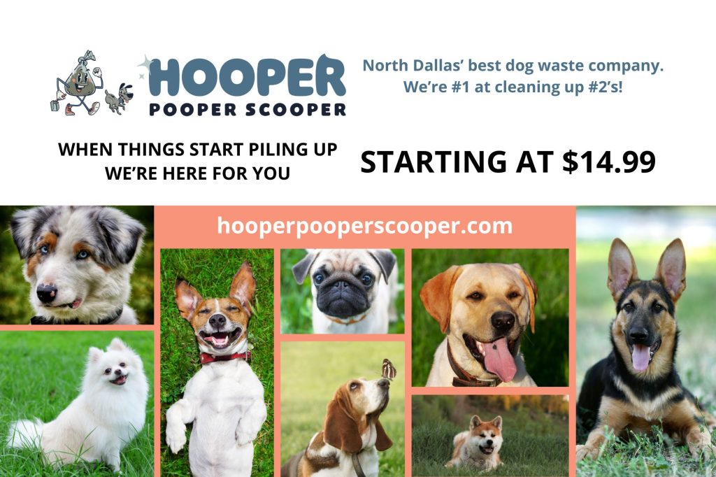 Hooper Pooper Scooper Postcard 6x9 in Front