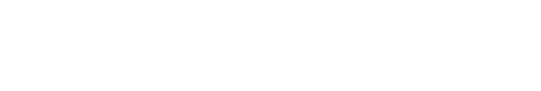 shopify partner 1