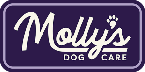 Mollys Dog Care 720x361